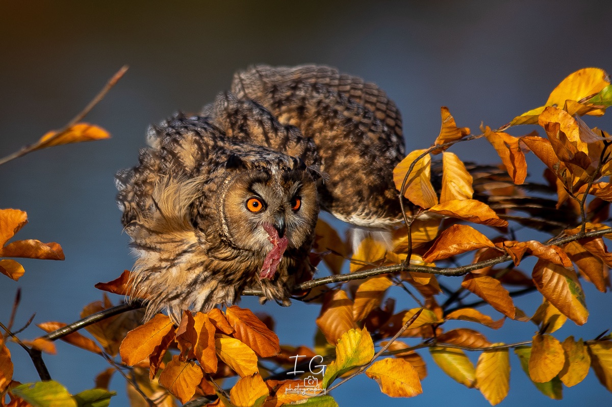 1DX43807 21 november 2021 1340 24